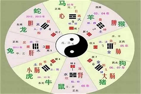 婕字五行|婕字的五行属性是什么